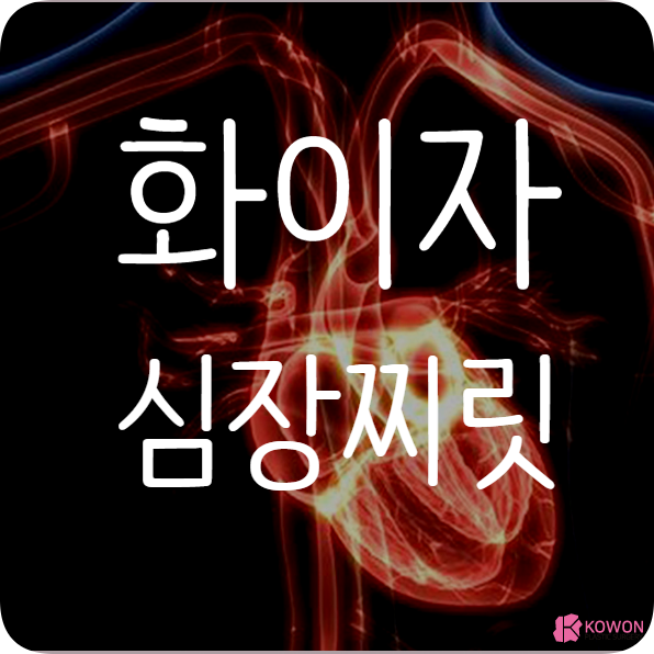 화이자심장찌릿 증상 가슴통증 원인