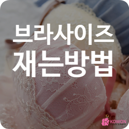 브라사이즈재는법 둘레별 컵 크기