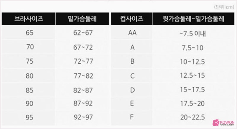 브라사이즈재는법 둘레별 컵 크기 사진 8