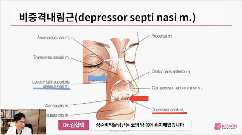 코수술전문 성형외과, 화살코 긴 코 왜 그럴까? 사진 9