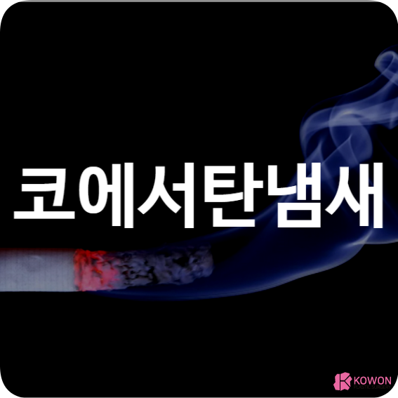코에서탄냄새 담배 향 증상 원인