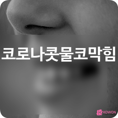 코로나콧물코막힘 원인 오미크론 코감기