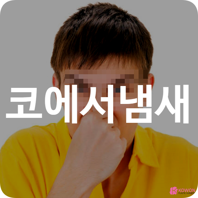코에 냄새 원인 축농증 편도결석