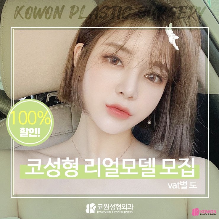 겨울 이벤트 코성형 모델 모집 글