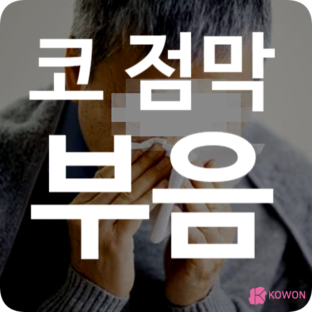 코 점막 부음 부비동염 원인 및 완화 방법