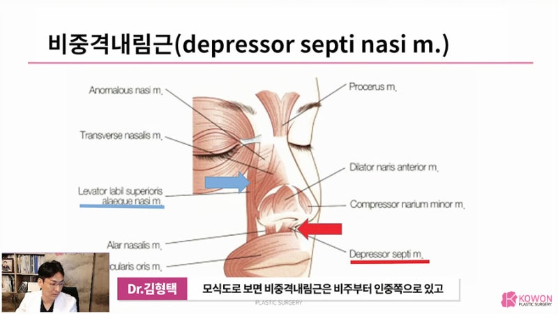 화살코교정 방법 코근육 문제 개선 통해 사진 5
