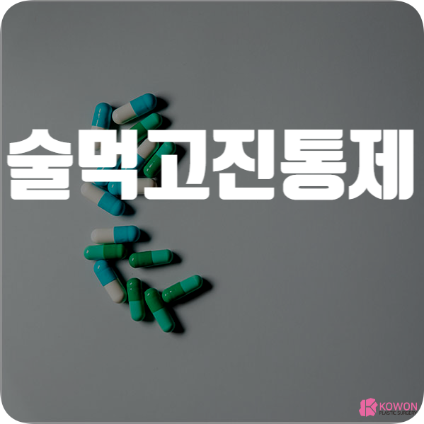 술먹고진통제 복용하면 안 되는 이유 주의사항