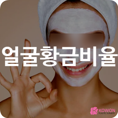 얼굴황금비율 계산 영역 길이 조화 보정 외모