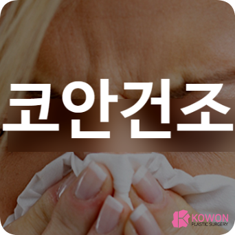 코안 건조 막힘 비염 습도 가습기 치료 보호