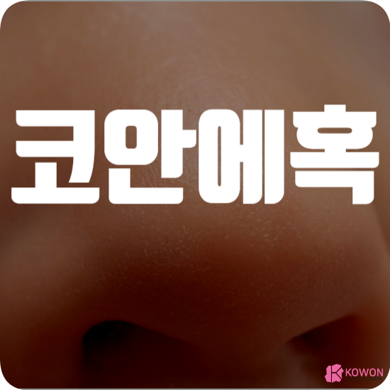 코안에 혹 생기는 이유 염증 종양 트러블 질환