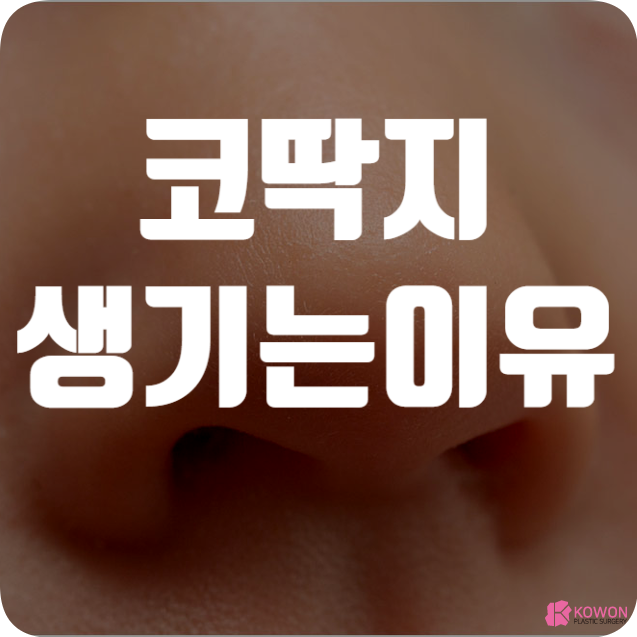 코딱지생기는이유 역할 이물질 보호 제거 방법