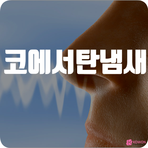 코에서탄냄새 느껴질 때 원인 질환 후각 문제 등
