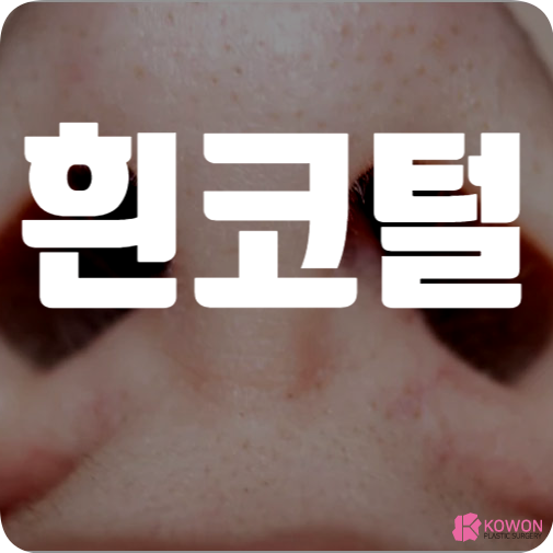 흰코털 나는 이유 변색 멜라닌 색소 노화 등