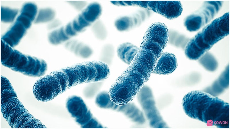 콧물냉 분비물 악취 냄새나는 이유 질환 염증 등