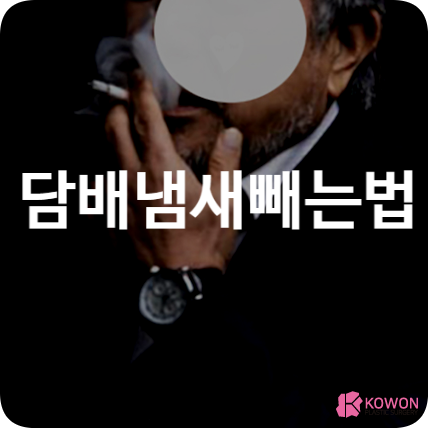 담배냄새빼는법 탈취제 통풍 화학물질 금연 필터