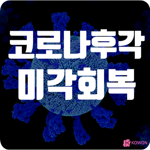 코로나 후각 미각 회복 방법 후유증 증상 완화