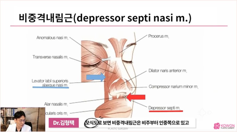 화살코수술 비중격 교정 방법 코성형외과추천 사진 7