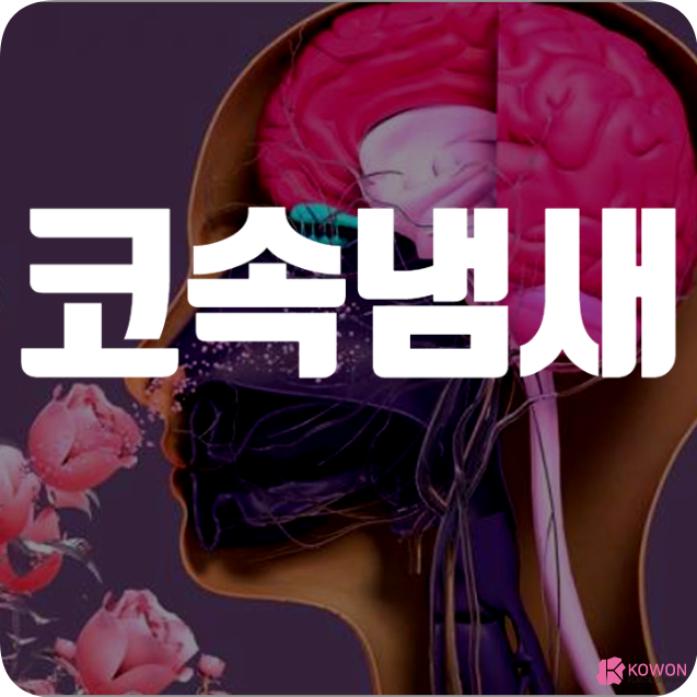 코안 냄새 나는 이유 후각기능 문제 개선 방법
