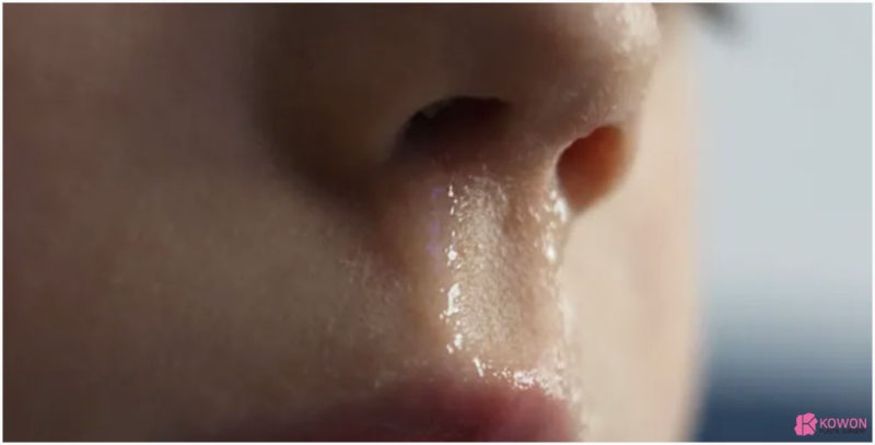 코털뽑으면 안 되는 이유 위험성 주의사항 사진 4