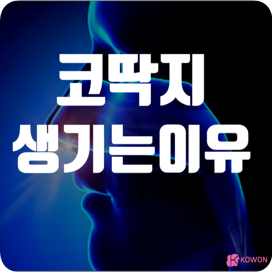 코딱지생기는이유 이물감 불편함 비염 환절기