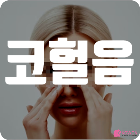 코허는이유 증상 원인 코안이헐었을때 대처 방법