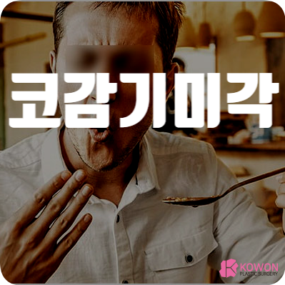 코감기 미각 안 느껴짐 이상 증상 원인 대처 해결