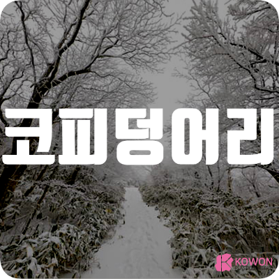 코피 덩어리 발생 이유 안멈출때 주의 상처 지혈 대처법