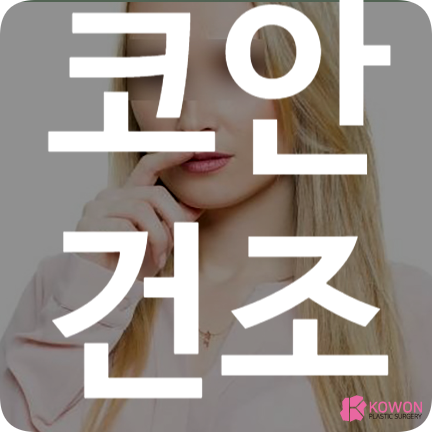 코안건조 콧구멍 마름 환절기 가습기 코 세척 점막