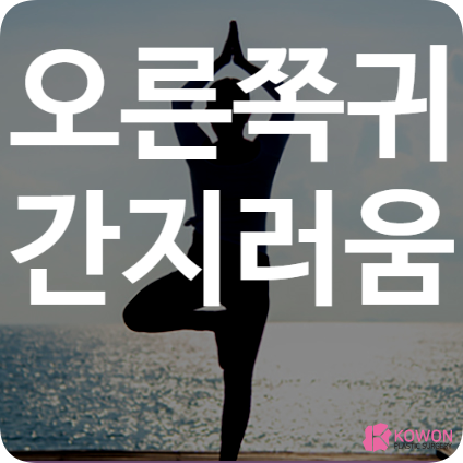 오른쪽귀간지러움 먹먹 귀가찌릿찌릿 세균감염 바이러스