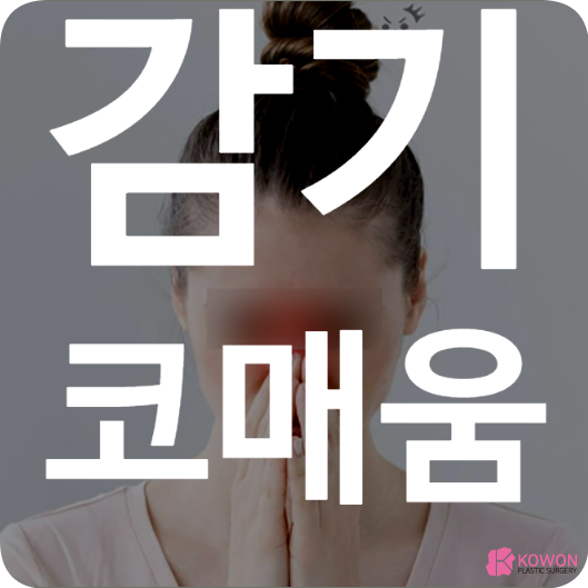 감기코매움 코감기 콧물 약추천 부비동 감염 스프레이