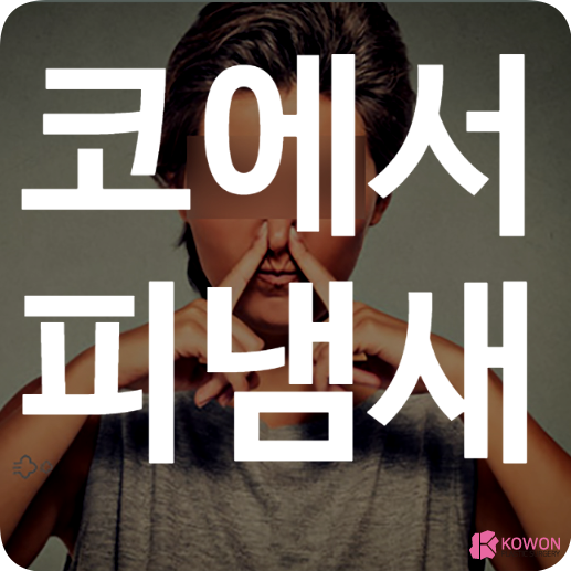 코에서 피냄새 가래 비린내 축농증 독감 생활습관 질환