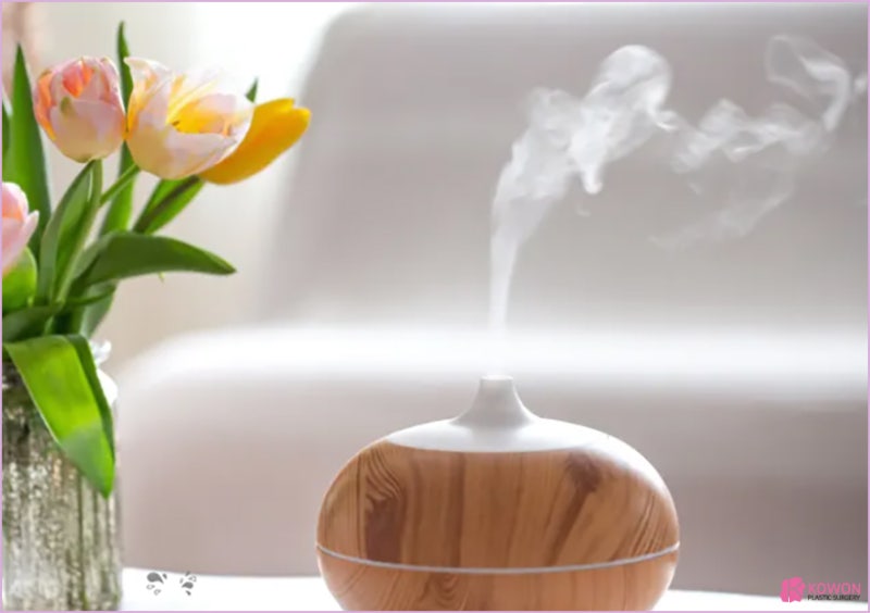 코점막부음 피 건조 연고 공기 미세먼지 알레르기 습도 사진 8