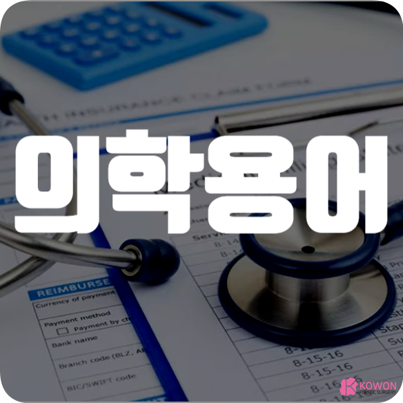 의학용어 영어 줄임말 뜻 LC os DI AGE 의미 의료