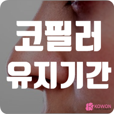 코필러 유지기간 가격 효과 오래가는 지속 관리 방법