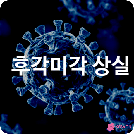 후각 미각 상실 세포 코로나 신경 일상생활 후유증