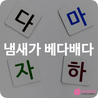 냄새가 베다 배다 배개를 맞춤법 차이 언어 생활