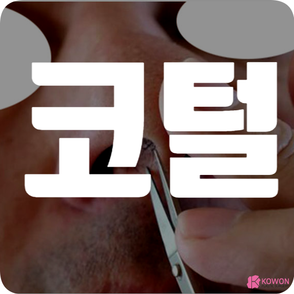 코털 뽑으면 콧털 안되는이유 관리