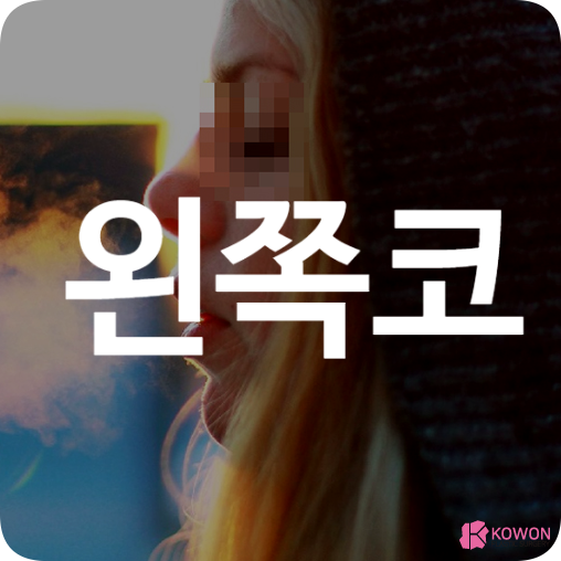 왼쪽코 막힘 피 점 손상 증상 축농증 세척 약물 치료