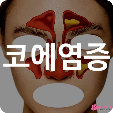 코에 염증 코염증냄새 연고 약 치료 박테리아 감염