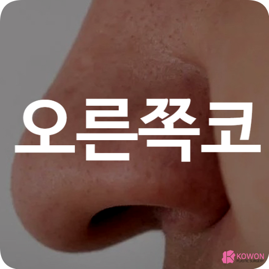 오른쪽코 피 막힘 점 휴식 스트레스 수면 약 처방