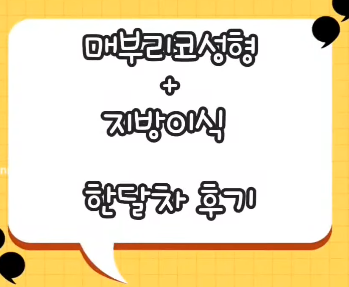 매부리코 교정 + 지방이식으로 세련된 코로 다시 태어났어요!! 사진 5