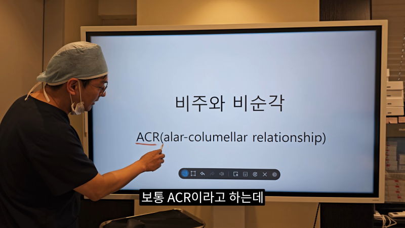 예쁜 코를 위한 비주와 콧날개에 대해 알려드립니다! 1편