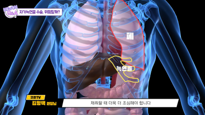 자가늑연골수술, 위험성이 높아 고민하시고 계시나요? 자가 늑연골에 대한 진실을 알려드립니다! 사진 11