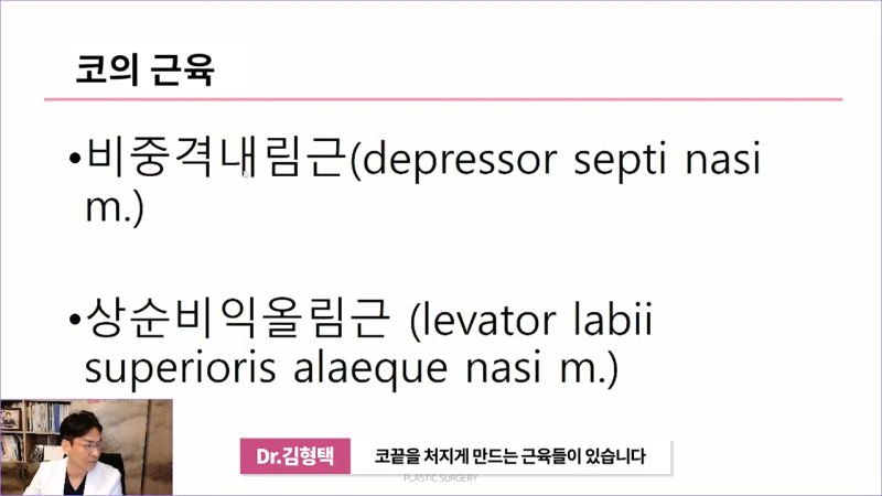 화살코 만드는 근육?! 비중격내림근과 상순비익올림근 절단해야 화살코 해결할 수 있습니다. 사진 4