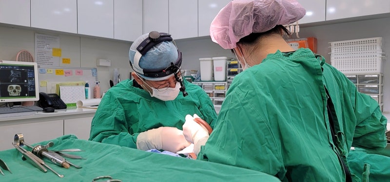 신사역 코수술, 제대로 선택하려면 꼭 따져야 할 것들 사진 4