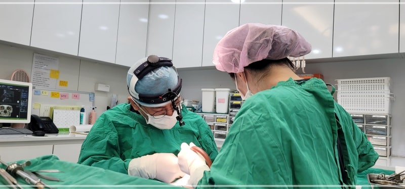 코성형 통증 염증이 문제일 수 있습니다 사진 8