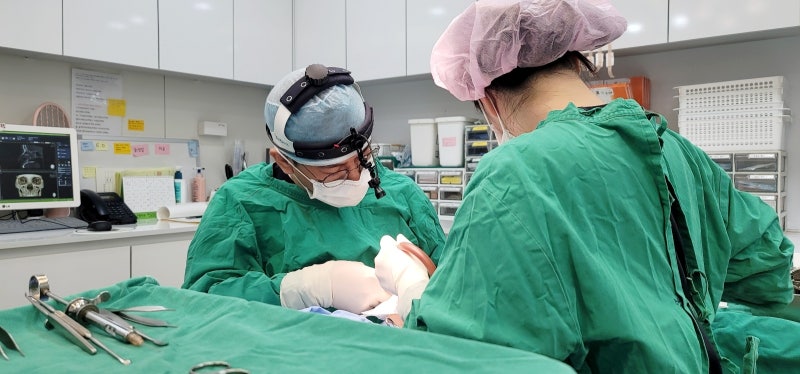 복코성형, 실패 줄이는 핵심 포인트 사진 12
