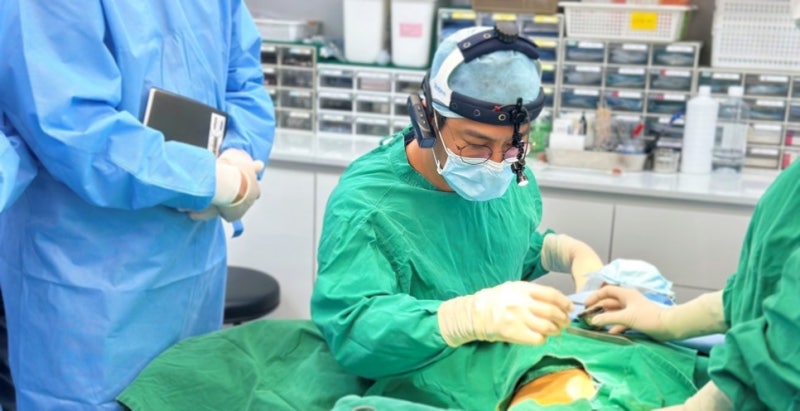 짧은코성형, 자가늑연골 기준 사진 8