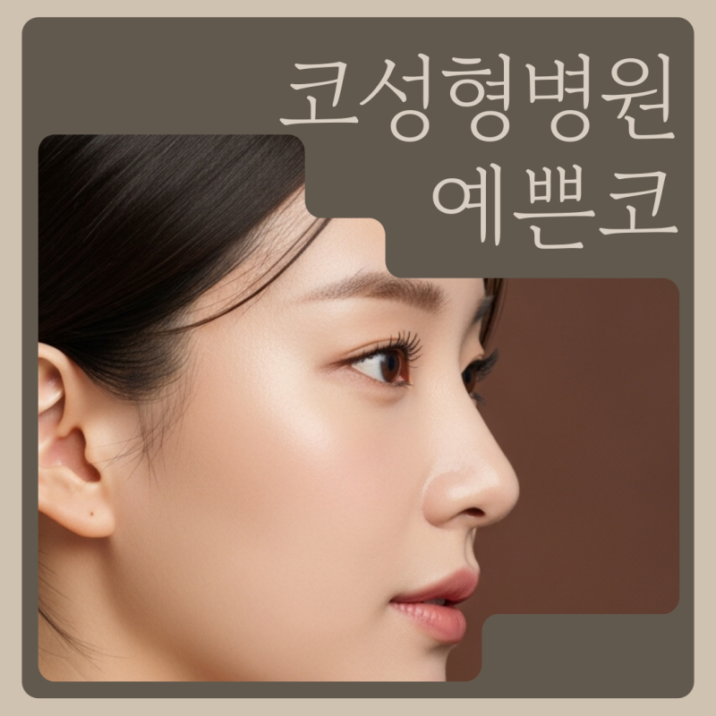 코성형병원 선택 기준, 예쁜코를 만드는 재료 차이