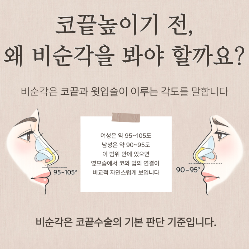 코끝높이기, 무조건 올리면 될까요?비순각을 먼저 봐야 하는 이유 사진 4
